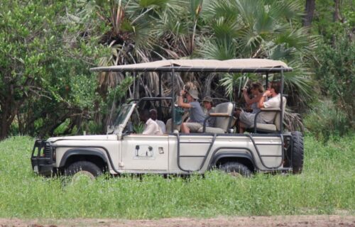 Game drives in selous game reserve