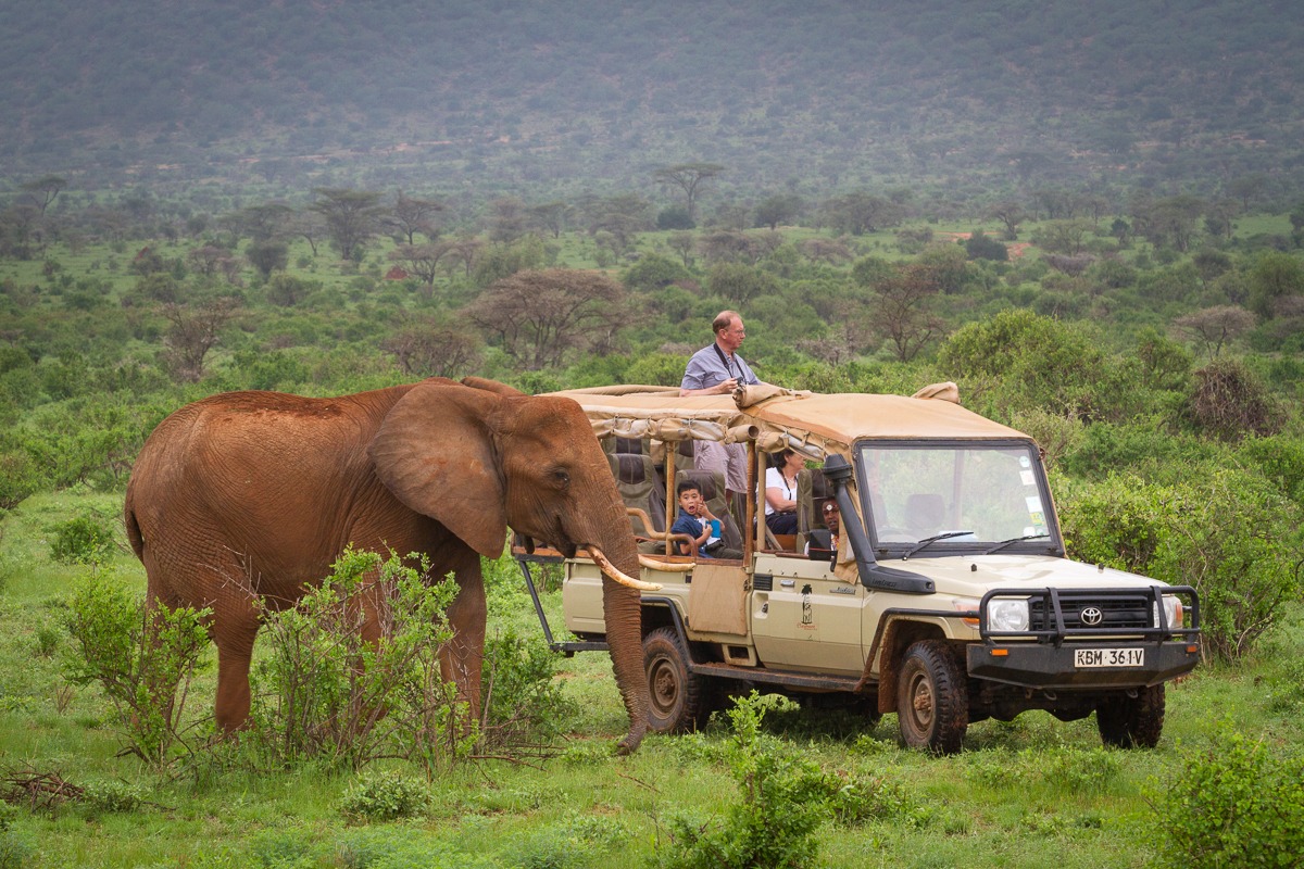 Game Drive in Samburu Reserve