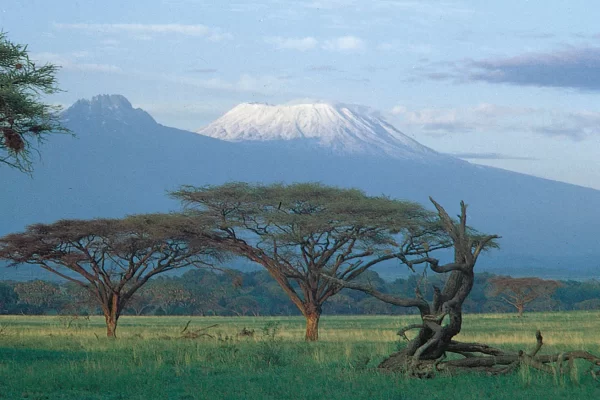 Kilimanjaro snowy peak