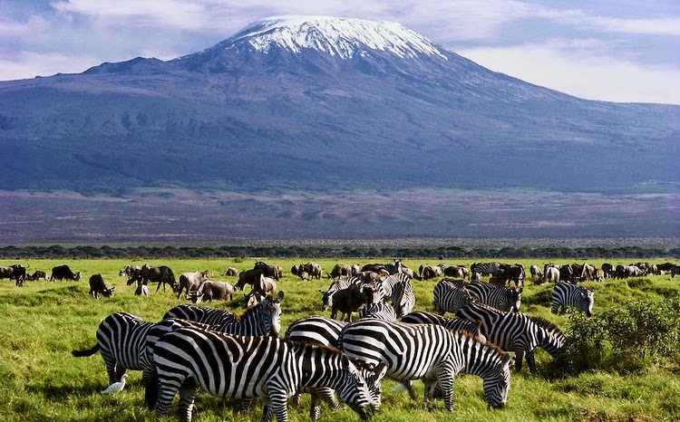 Best of Amboseli National Park