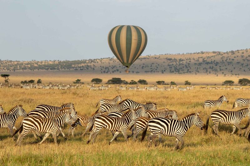 Hot air balloon safari in Serengeti National Park.