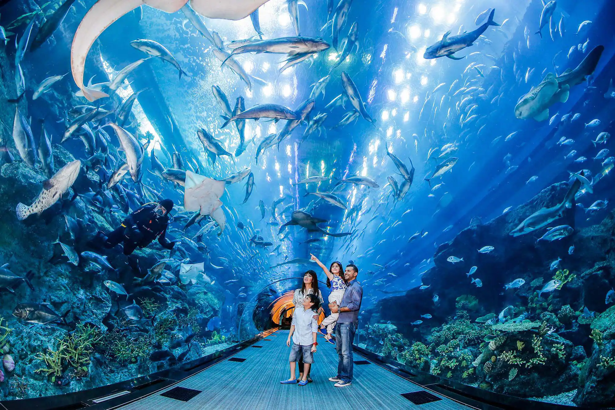 Dubai Aquarium and Underwater zoo